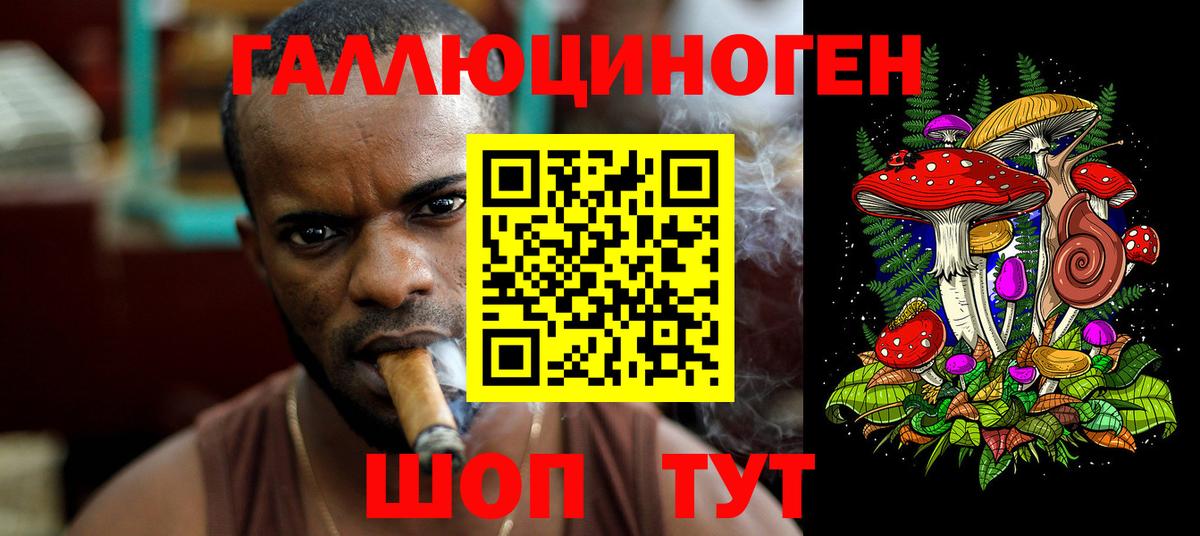 Галлюциногенные грибы ЛСД Камень-на-Оби