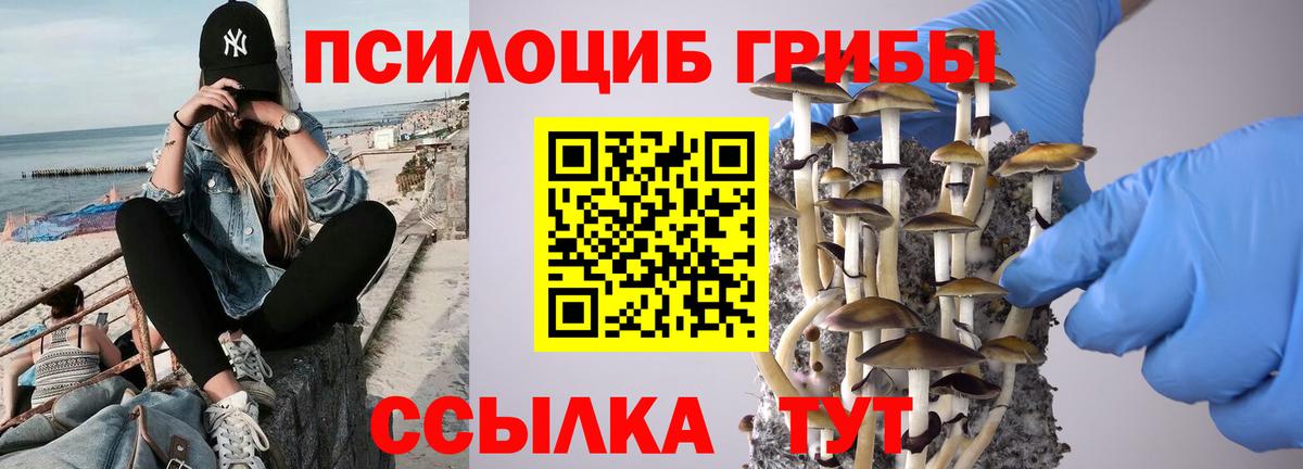 Камень-на-Оби  Галлюциногенные грибы MAGIC MUSHROOMS  Вход с VPN  Псилоцибиновые грибы Magic Shrooms 